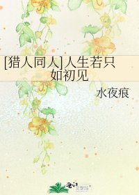 [獵人同人]人生若只如初見